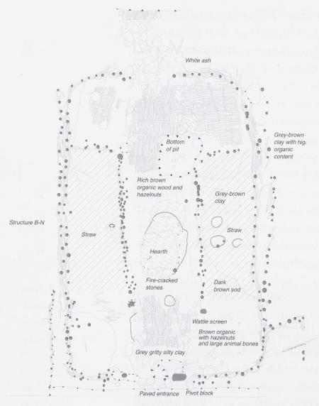 Ilustr. 6. Plan pozostałości domu pierwszego typu odnalezionego w wikińskim Dublinie w pobliżu Temple Bar West. Widać wyraźnie rzędy szczątków kołków i słupków tworzących szkielety plecionkowych zewnętrznych ścian domu i wewnętrznych ścianek działowych oraz słupów podpierających dach. W środku znajdują się resztki paleniska i bocznych łoży z wyścielającą je słomą. Można dostrzec także wiele innych zachowanych szczątków materiałów organicznych.
